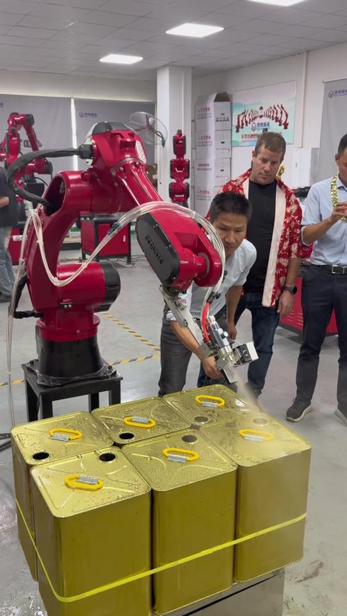 以色列护理机器人如何改变传统照护模式？-第2张图片-广州国自机器人