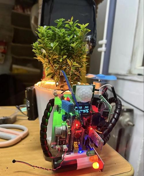 人工智能DIY组件如何入门？-第2张图片-广州国自机器人