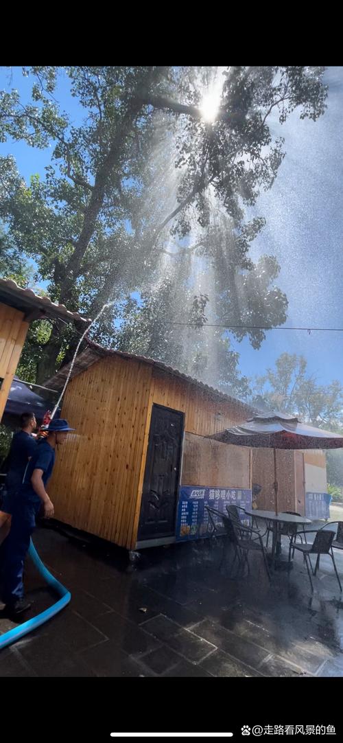 无人机挂在树上怎么办-第3张图片-广州国自机器人