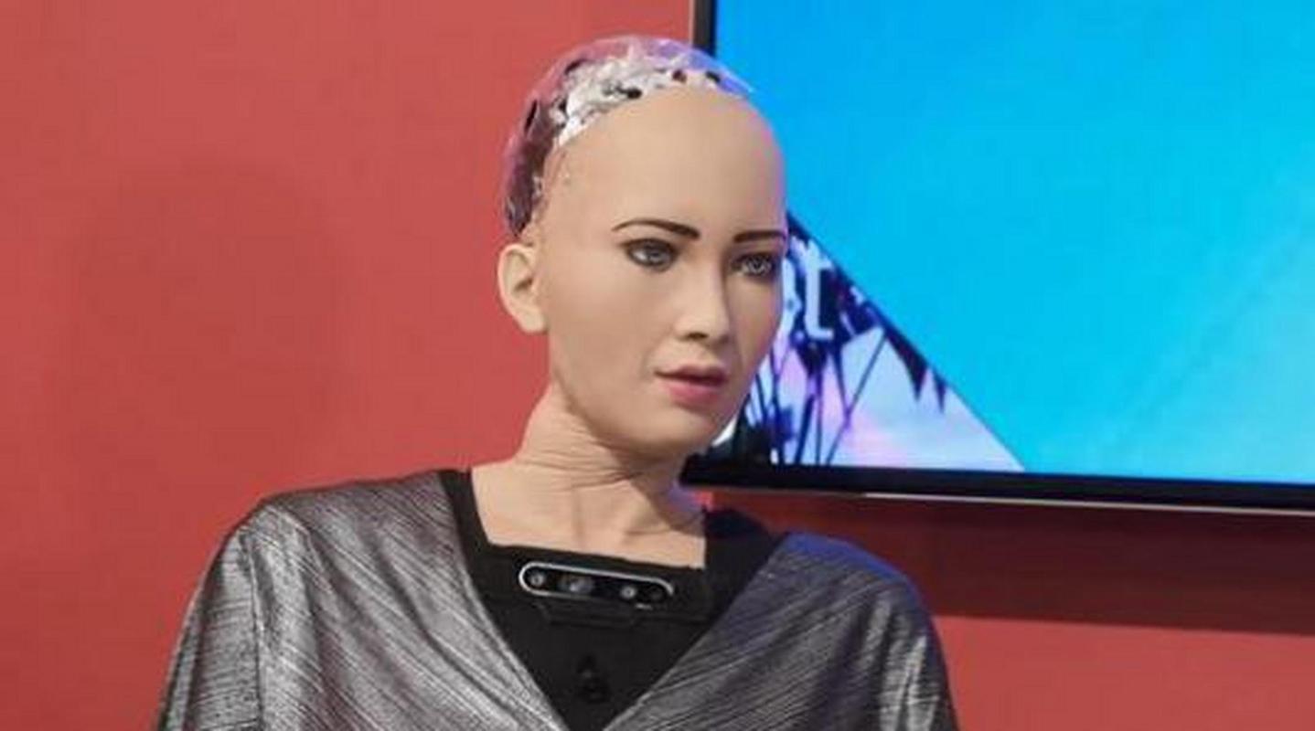 索菲亚机器人相关技术-第1张图片-广州国自机器人