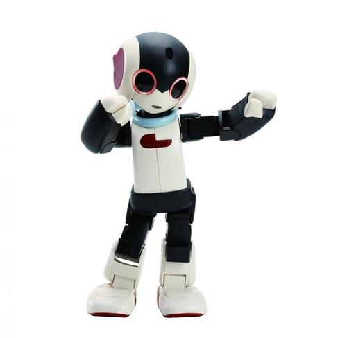 robi洛比机器人是什么？-第1张图片-广州国自机器人