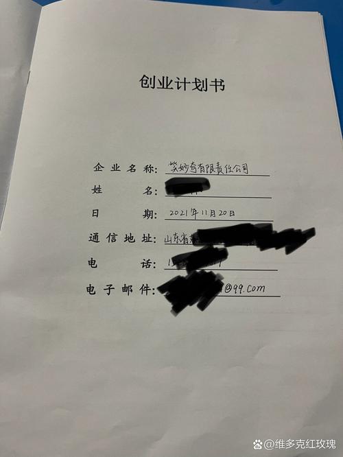 无人机创业计划书论文的核心价值是什么？-第2张图片-广州国自机器人