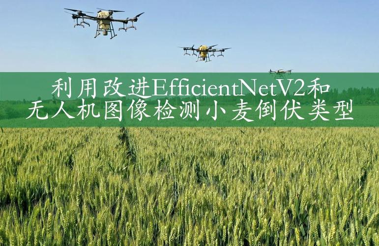 农业遥感测量与无人机-第2张图片-广州国自机器人