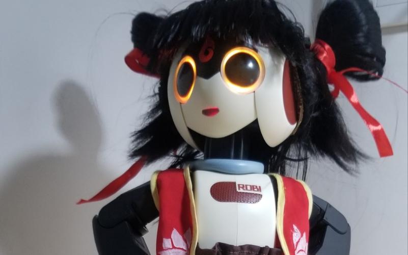 Robi机器人哪里能买到？-第2张图片-广州国自机器人