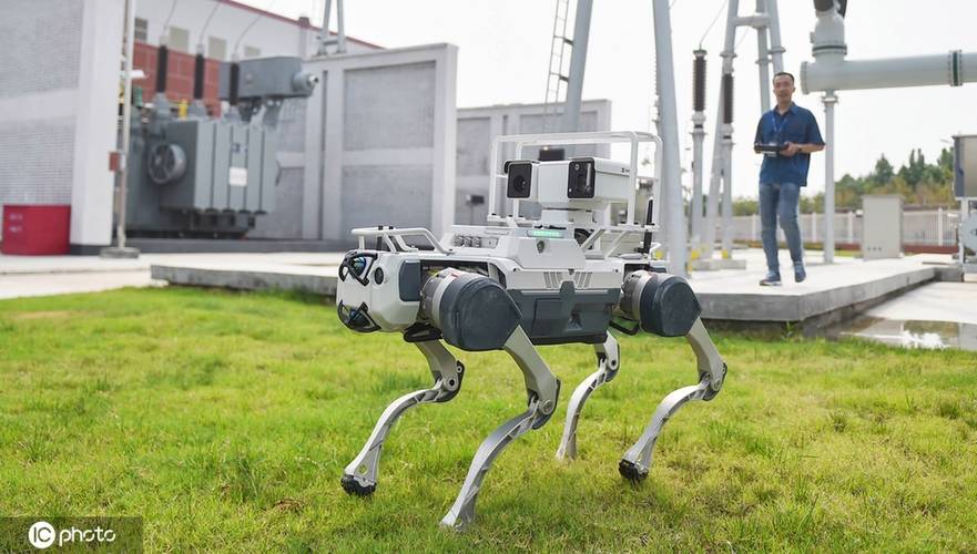 Atlas四足机器人如何突破极限？-第1张图片-广州国自机器人