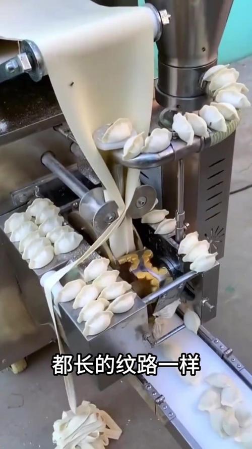 秦皇岛机器人包水饺？科技与美食碰撞了？-第1张图片-广州国自机器人