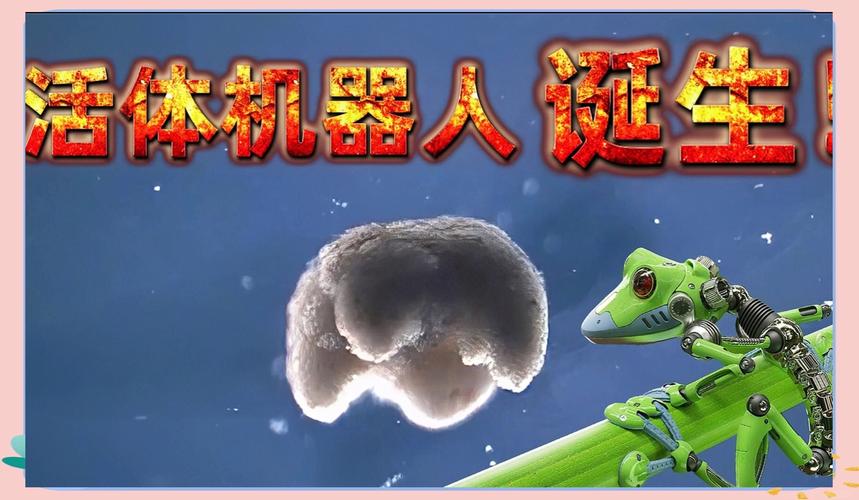青蛙细胞活体机器人是啥?能干啥?-第3张图片-广州国自机器人 青蛙细胞活体机器人是啥?能干啥?-第3张图片-广州国自机器人