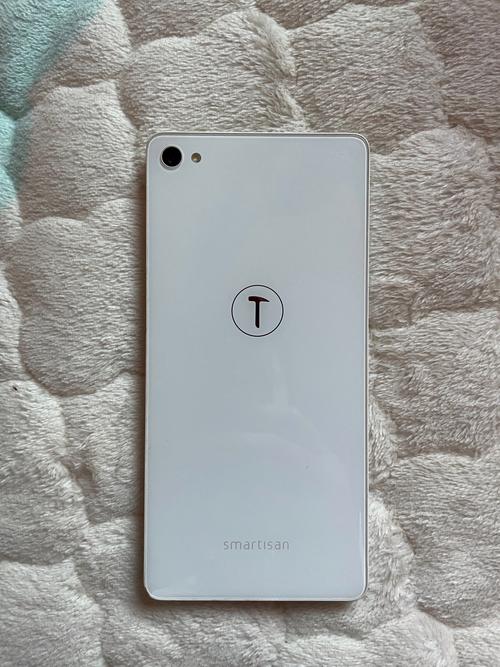 锤子手机语音机器人有何独特功能?-第1张图片-广州国自机器人 锤子手机语音机器人有何独特功能?-第1张图片-广州国自机器人