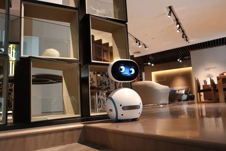 小布机器人 华硕视频-第2张图片-广州国自机器人