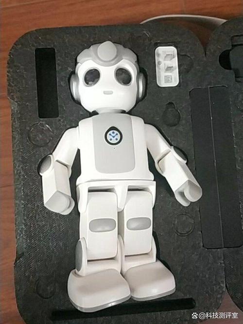 智能机器人产品评测，哪些表现最亮眼？-第2张图片-广州国自机器人