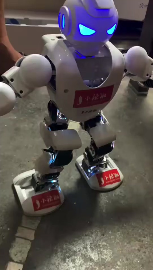 阿尔法机器人成都售后怎么样？-第3张图片-广州国自机器人