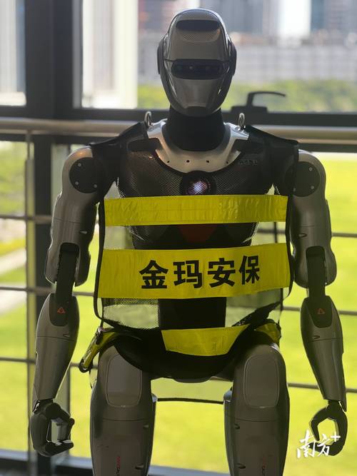 保安机器人为何会溺水自杀？-第2张图片-广州国自机器人