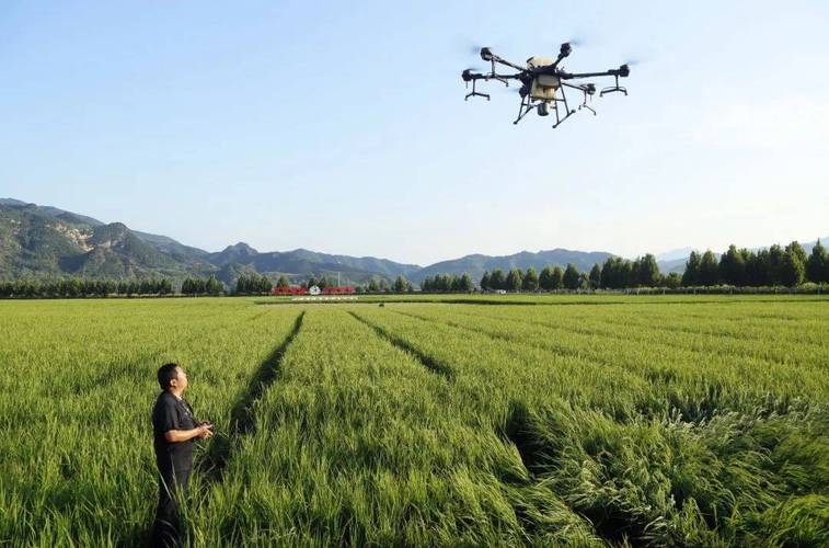 运城大疆无人机喷农药效果如何？-第2张图片-广州国自机器人