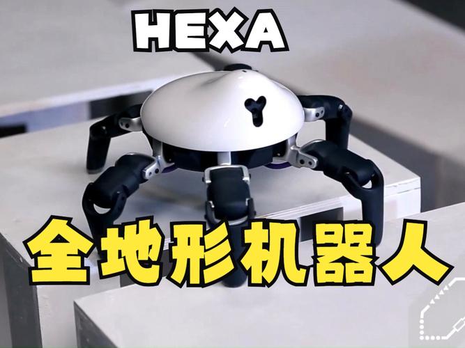 hexa机器人官网在哪？-第1张图片-广州国自机器人