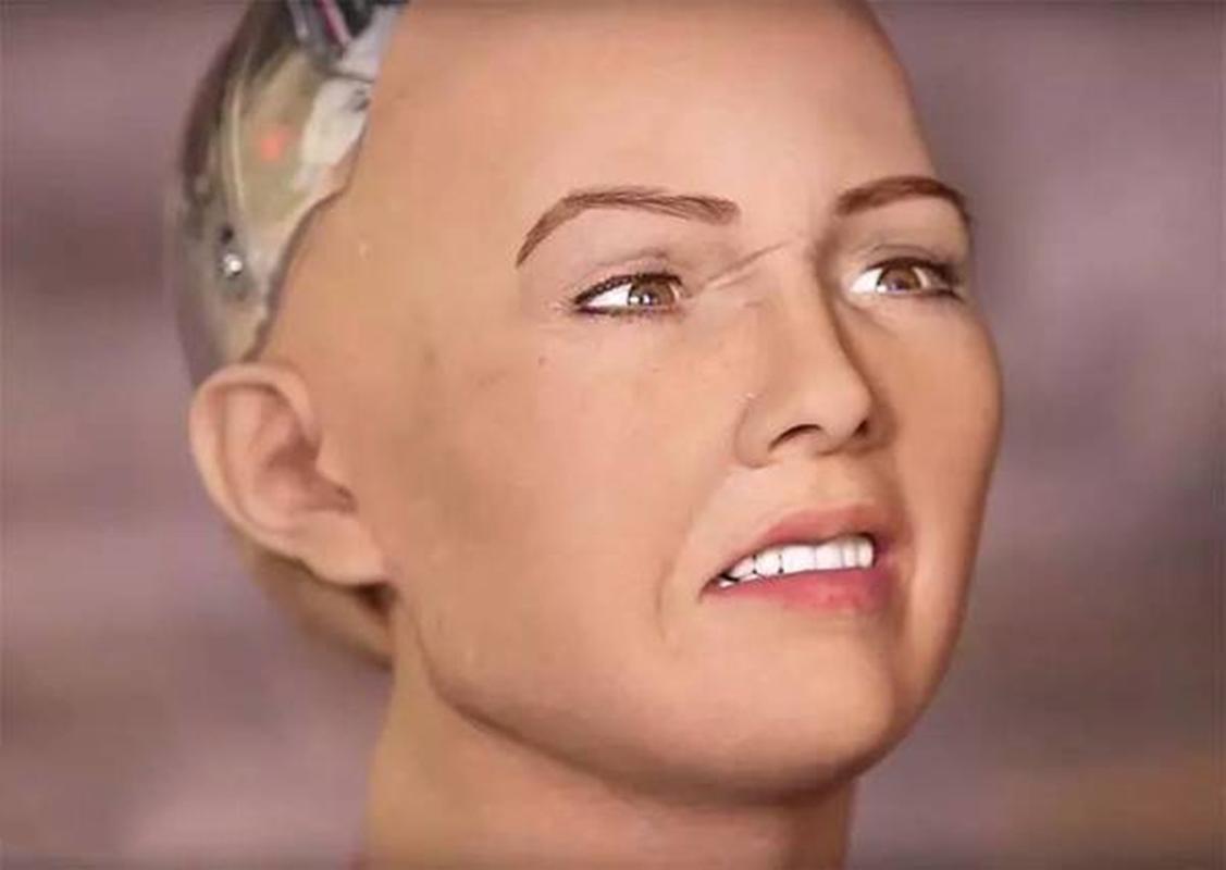 索菲亚为何被称为最像人的机器人？-第2张图片-广州国自机器人