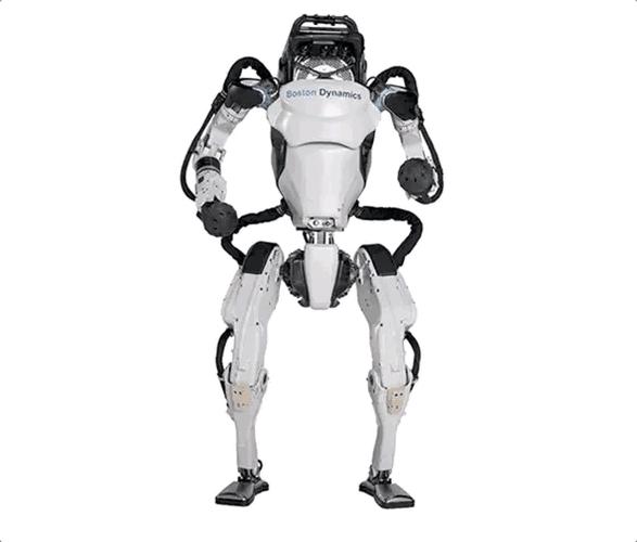 人厉害还是机器人厉害？谁更胜一筹？-第1张图片-广州国自机器人