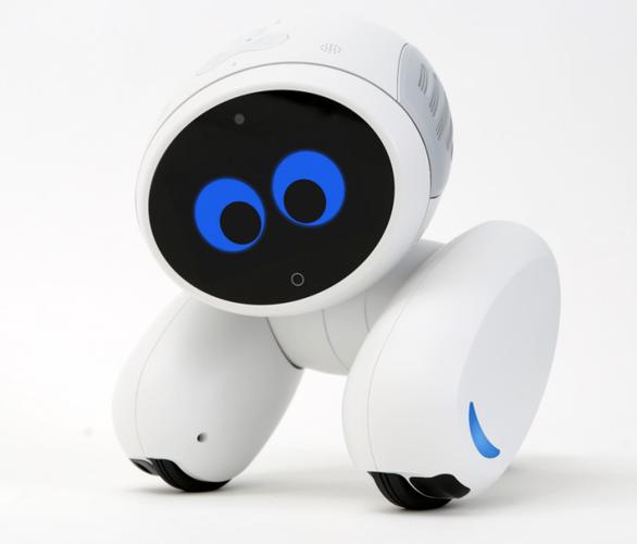 roobo机器人如何破解？-第2张图片-广州国自机器人