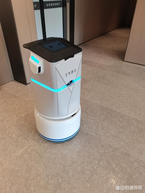 Pepper服务机器人能做什么？-第3张图片-广州国自机器人