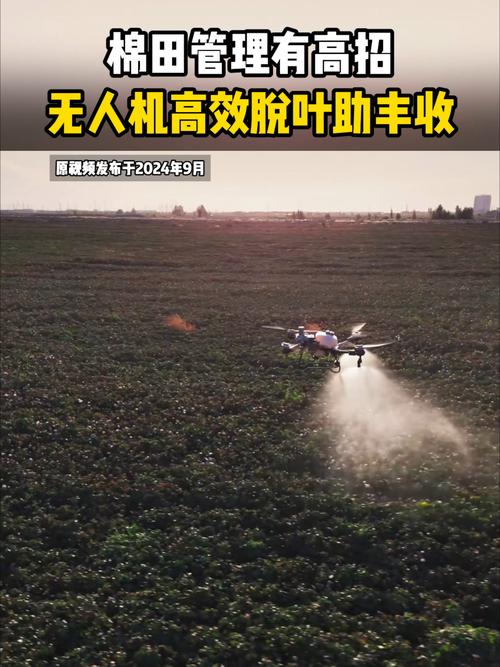 无人机脱叶要注意哪些问题?-第1张图片-广州国自机器人 无人机脱叶要注意哪些问题?-第1张图片-广州国自机器人