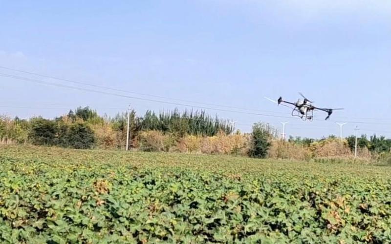 无人机脱叶要注意哪些问题?-第2张图片-广州国自机器人 无人机脱叶要注意哪些问题?-第2张图片-广州国自机器人