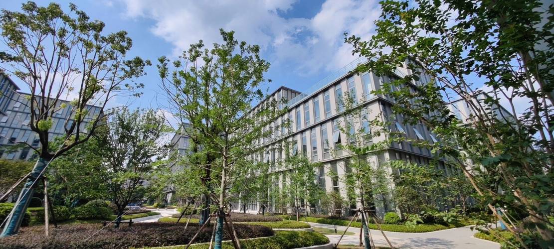 人工智能区块链科创园有何独特优势？-第1张图片-广州国自机器人