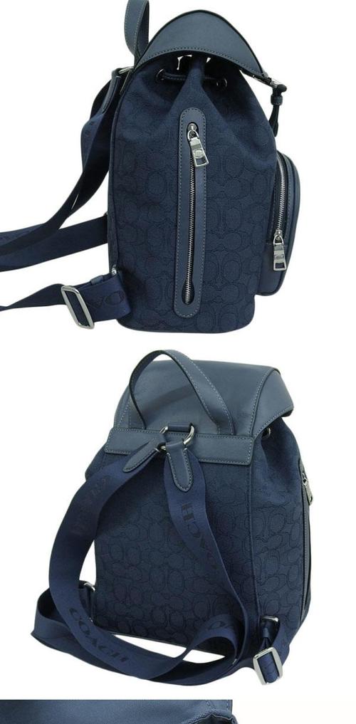 Coach机器人背包有何独特功能？-第3张图片-广州国自机器人