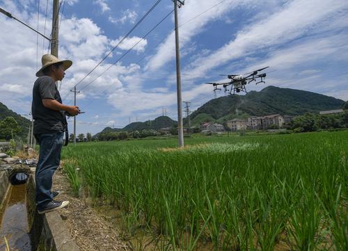 人工智能如何重塑中国农村？-第1张图片-广州国自机器人