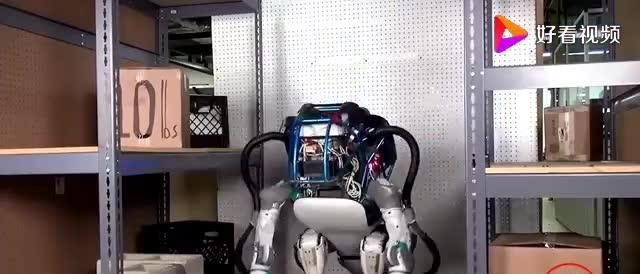 fedor机器人介绍-第2张图片-广州国自机器人