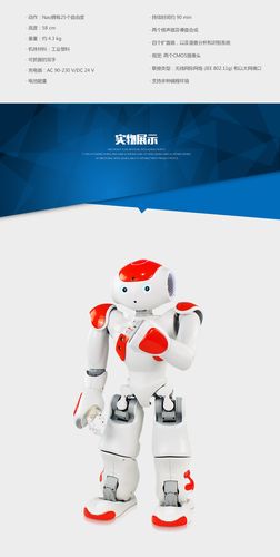 nao机器人怎么入门？-第3张图片-广州国自机器人