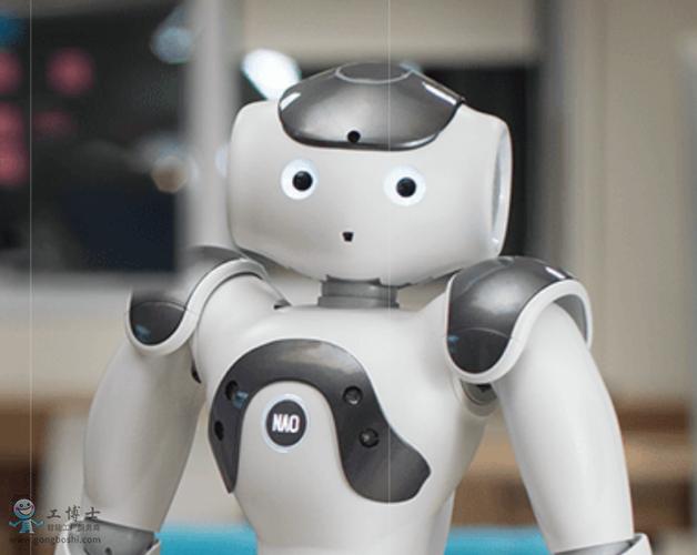 nao机器人怎么入门？-第2张图片-广州国自机器人