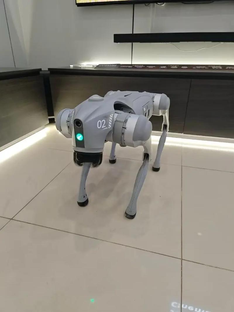 人工智能外脑哪里能买到?-第2张图片-广州国自机器人 人工智能外脑哪里能买到?-第2张图片-广州国自机器人