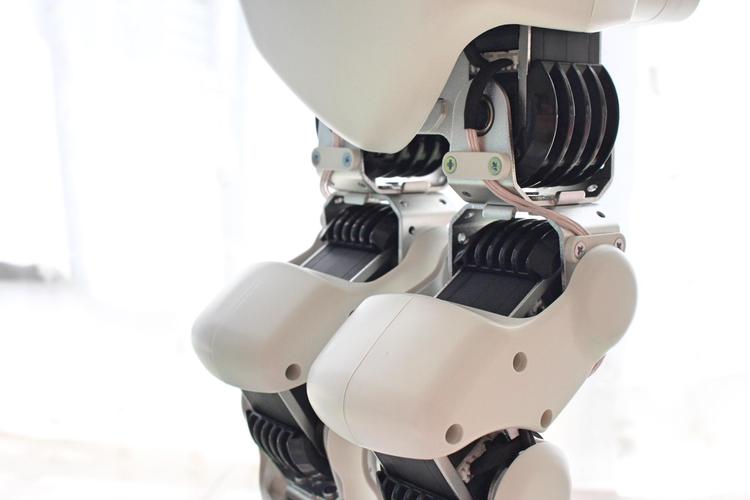 Alpha机器人表现如何？实测体验大揭秘！-第3张图片-广州国自机器人