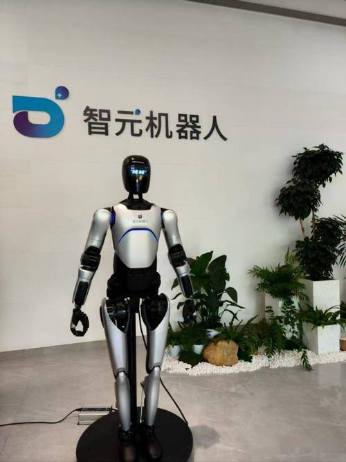 jibo机器人 中国-第1张图片-广州国自机器人