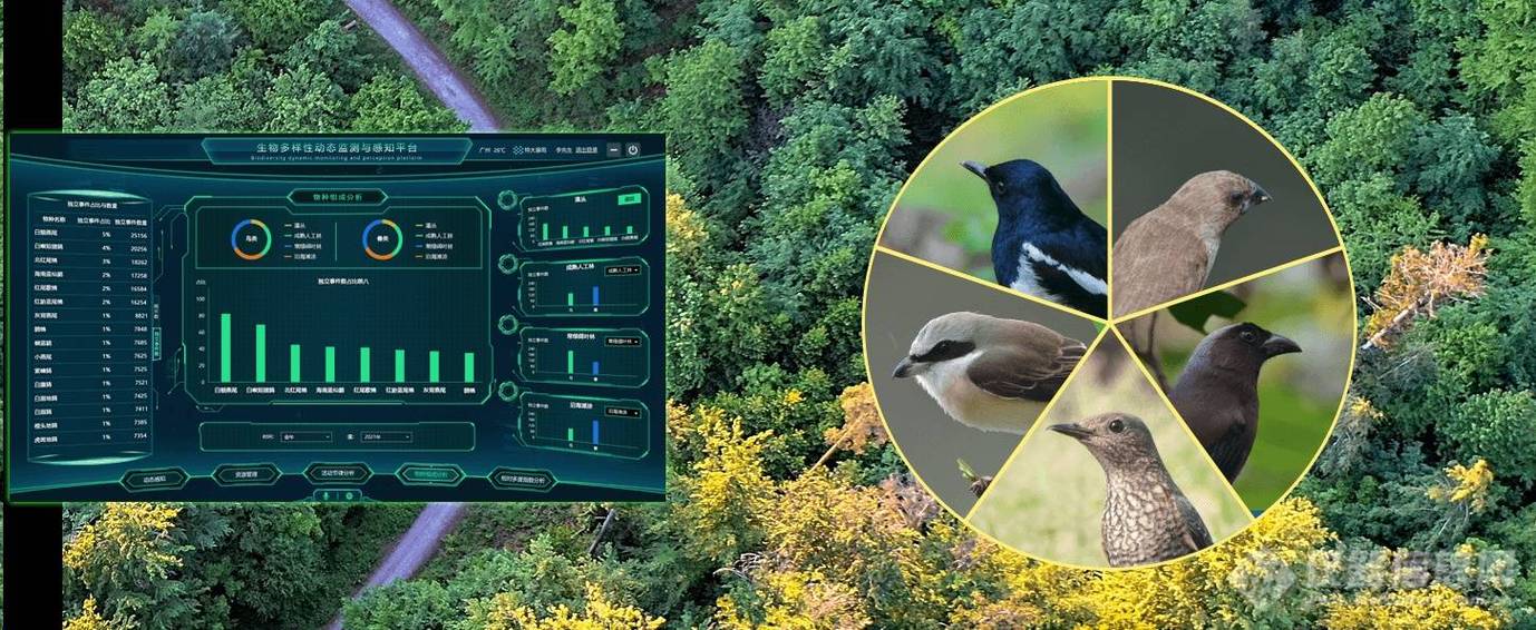 AI动物识别系统如何精准区分万千物种？-第2张图片-广州国自机器人