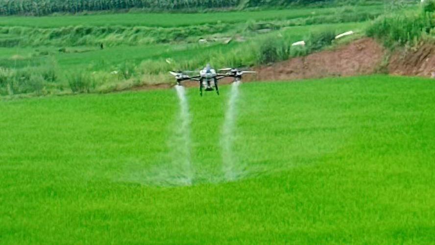 喷农药无人机生产厂商-第1张图片-广州国自机器人