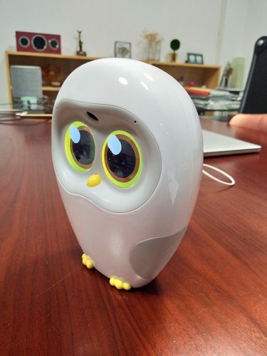 luka ai机器人-第1张图片-广州国自机器人 luka ai机器人-第1张图片-广州国自机器人