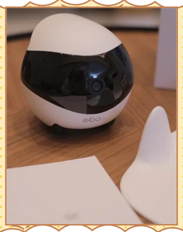 阿尔法ebot机器人有何独特功能？-第1张图片-广州国自机器人