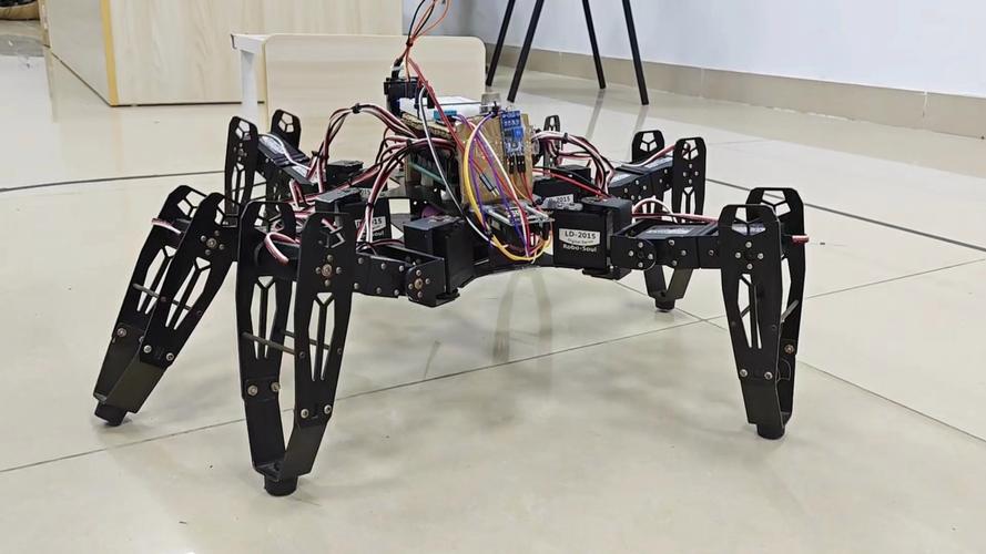 蜘蛛型机器人如何突破复杂地形？-第1张图片-广州国自机器人