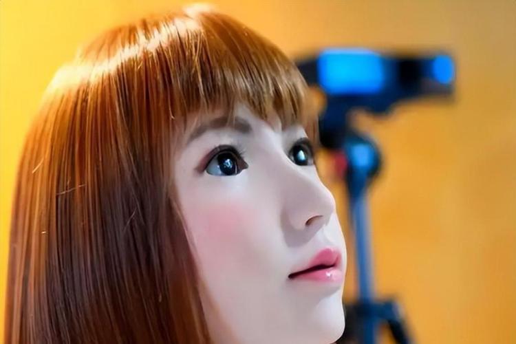 erica机器人采访-第1张图片-广州国自机器人