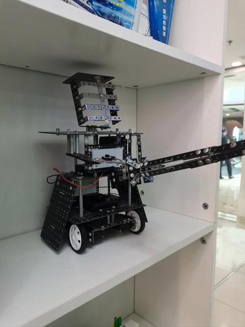 alpha编程机器人适合哪些孩子学？-第2张图片-广州国自机器人