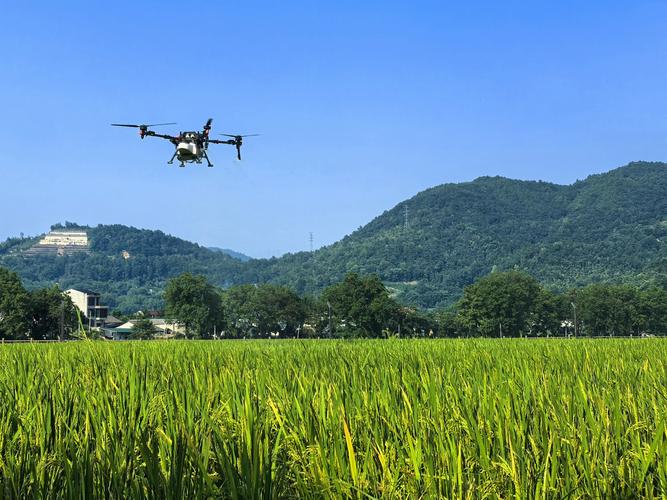 新型大疆喷药无人机有何优势？-第1张图片-广州国自机器人