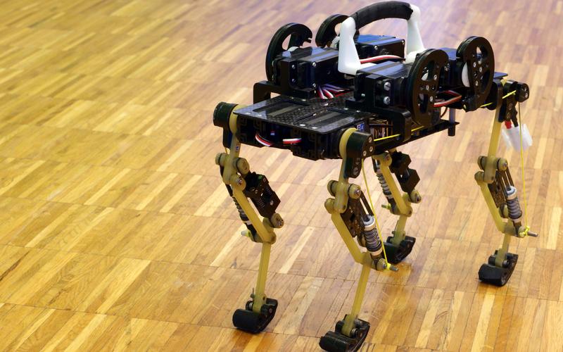 国外四足机器人机器人-第2张图片-广州国自机器人