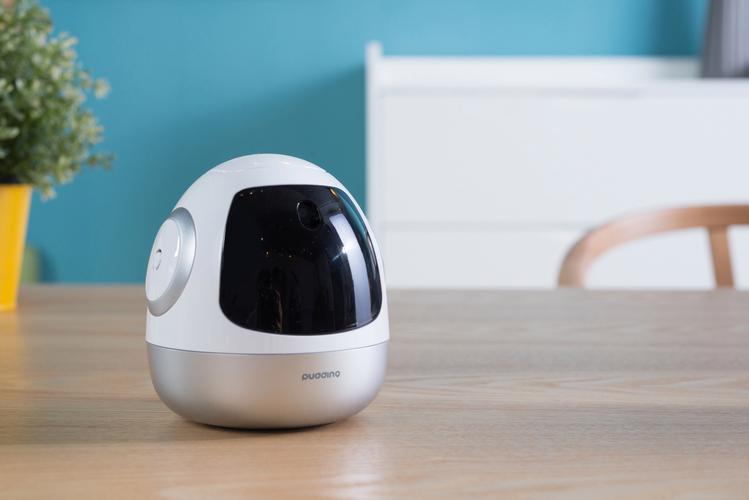 布丁机器人人形机器人有何独特功能？-第1张图片-广州国自机器人