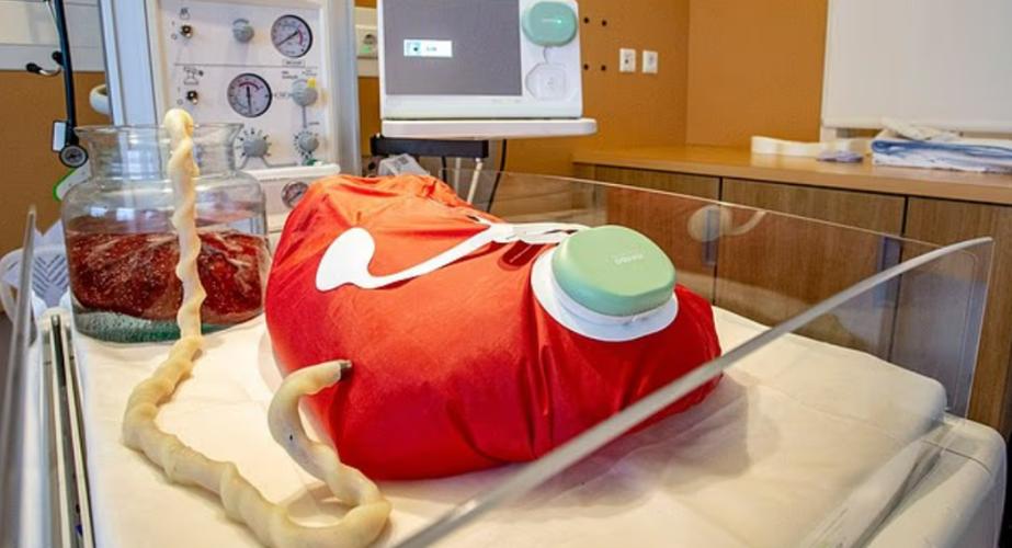 怀孕机器人化验机器人-第3张图片-广州国自机器人