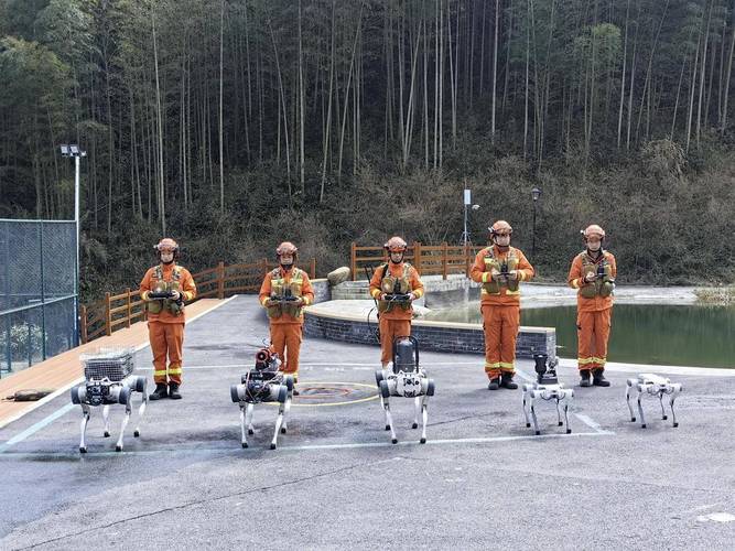 救援与动物机器人,如何协同救灾?-第1张图片-广州国自机器人 救援与动物机器人,如何协同救灾?-第1张图片-广州国自机器人