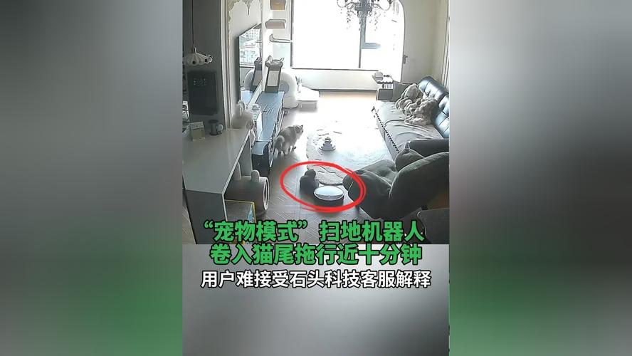 宠物机器人为何内部藏机器人?-第1张图片-广州国自机器人 宠物机器人为何内部藏机器人?-第1张图片-广州国自机器人