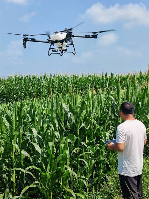 山西无人机农业植保有何新突破？-第1张图片-广州国自机器人