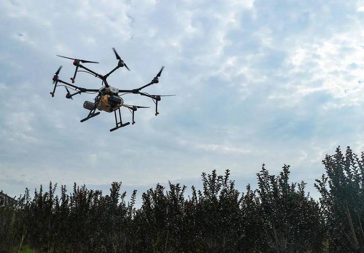 冬天能玩无人机吗？-第2张图片-广州国自机器人