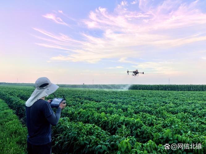 无人机喷农药到底能不能挣钱?-第1张图片-广州国自机器人 无人机喷农药到底能不能挣钱?-第1张图片-广州国自机器人