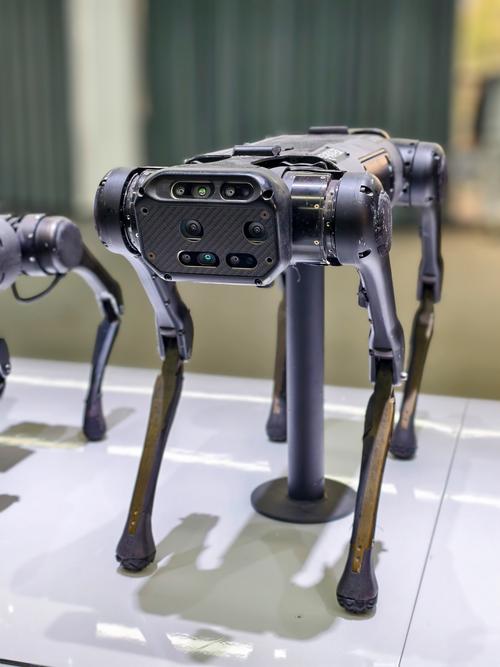 派诺特智能弹跳机器人如何智能弹跳?-第3张图片-广州国自机器人 派诺特智能弹跳机器人如何智能弹跳?-第3张图片-广州国自机器人